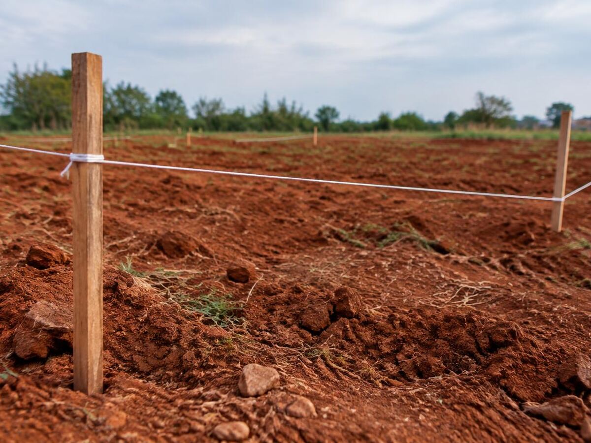Estacas de madeira e linha demarcando as divisas de um terreno de terra vermelha durante análise técnica