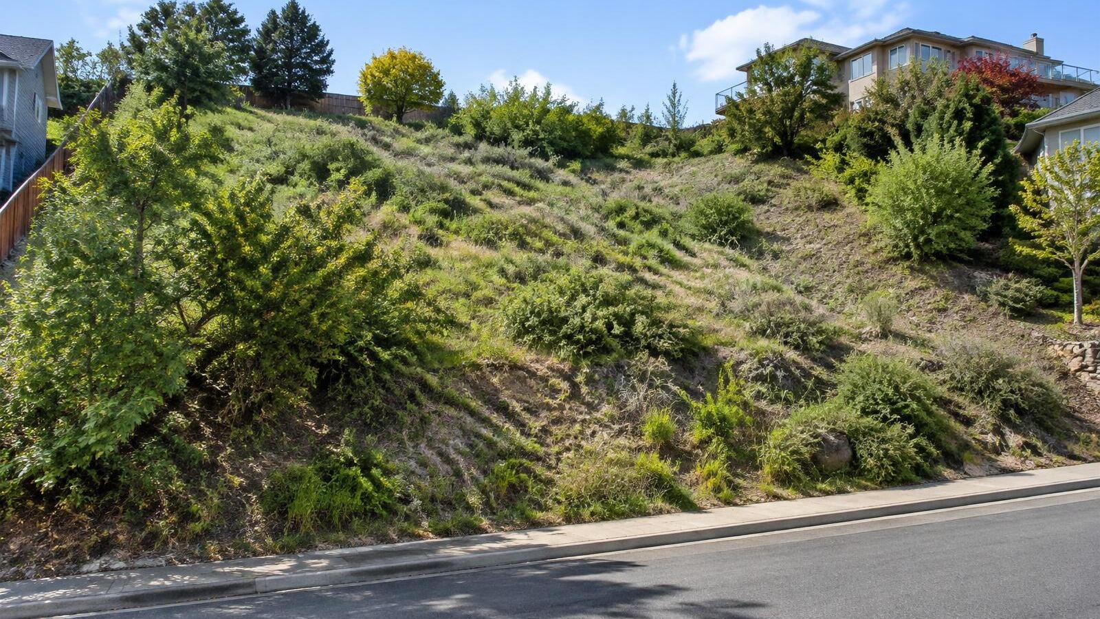 Terreno residencial em aclive acentuado com vegetação, acima do nível da rua