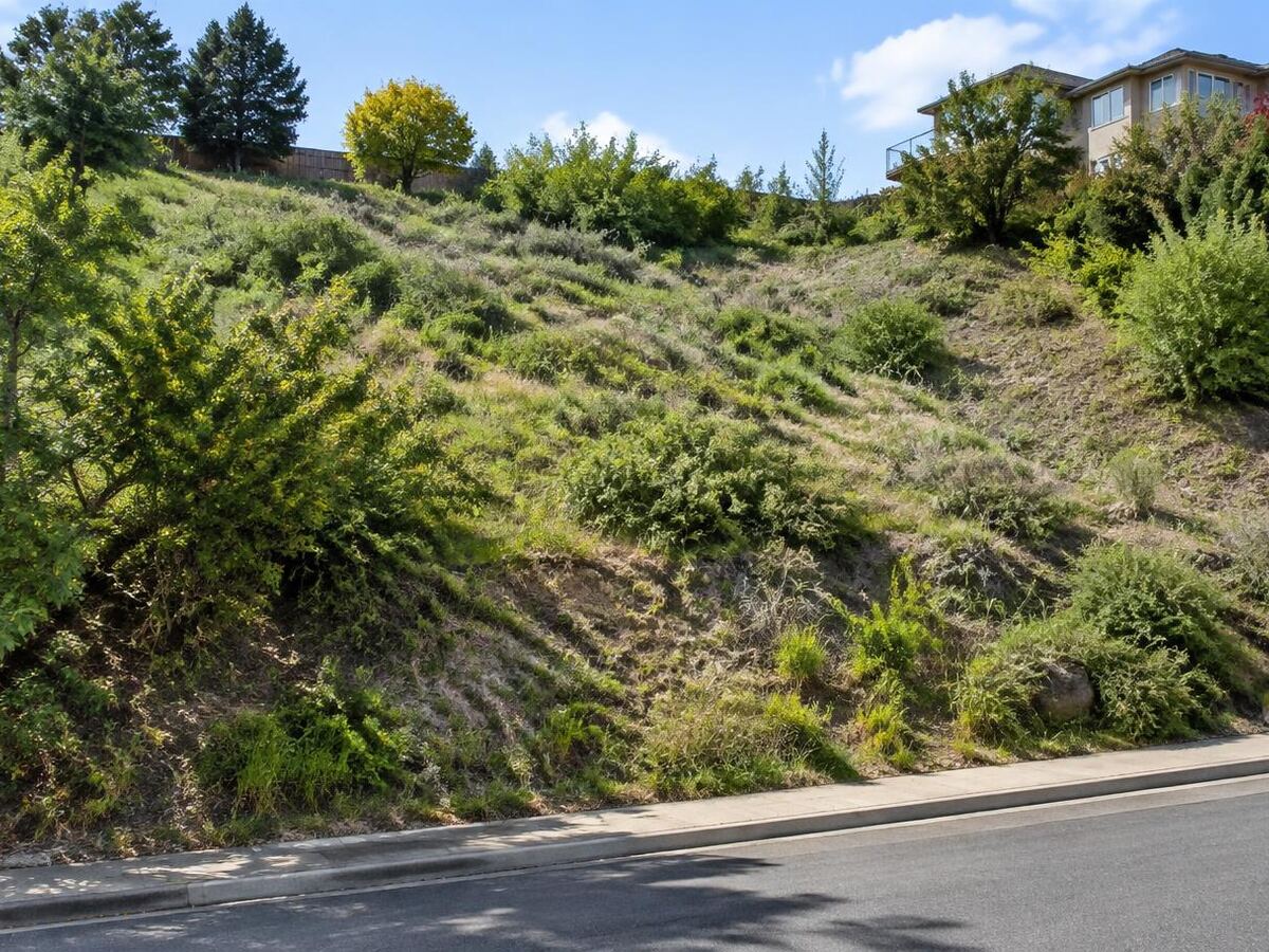 Terreno residencial em aclive acentuado com vegetação, acima do nível da rua